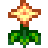 Summer Spangle